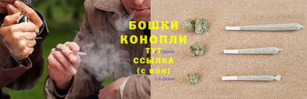 трава Корсаков