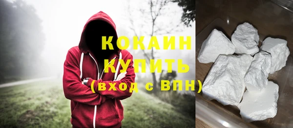 трава Корсаков