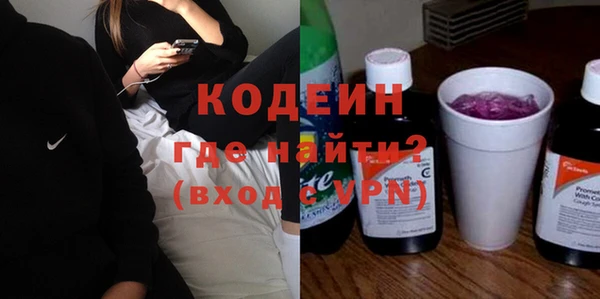 гашик Костерёво