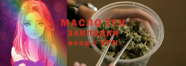 гашик Костерёво