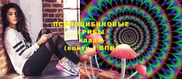 мяу мяу мука Коряжма