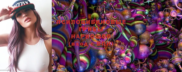 гашик Костерёво