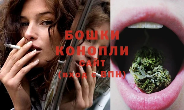 гашик Костерёво