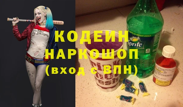 гашик Костерёво