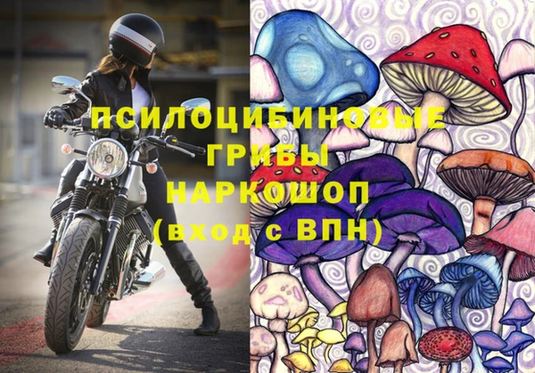 мяу мяу мука Коряжма