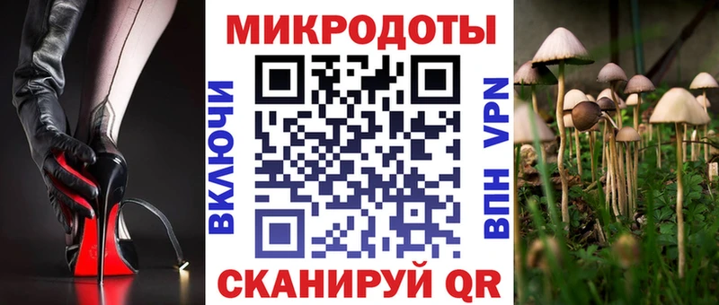 Псилоцибиновые грибы прущие грибы  Купить где  Кола 